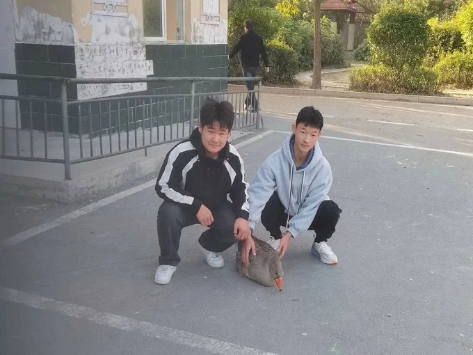 灰雁1.jpg